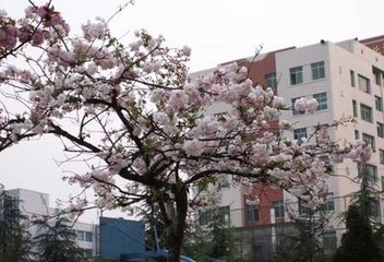 贵州工业职业技术学院的校园环境怎样，学校基础设施完善吗