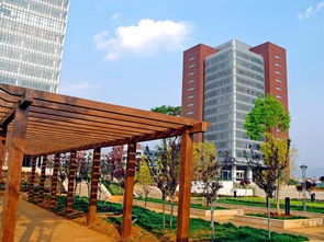 昆明理工大学有哪些招生要求