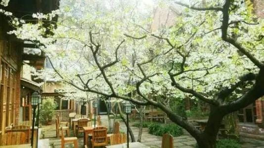 四川国际标榜职业学院校园一角