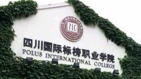 四川国际标榜职业学院护理与健康管理系有哪些专业？