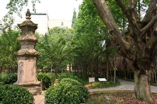 2022年四川国际标榜职业学院招生简章