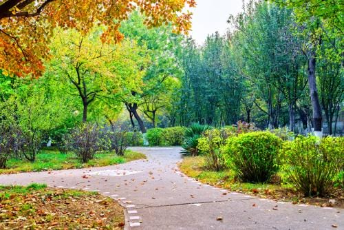 重庆城市管理职业学院的校园环境怎么样