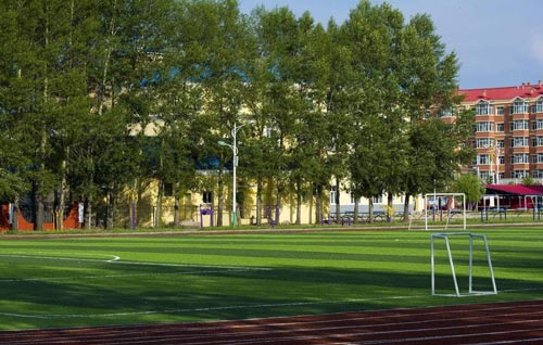 重庆城市管理职业学院校园环境好不好？