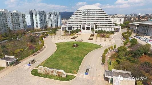 云南农业大学全景