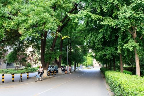 2023年成都希望卫校收费标准