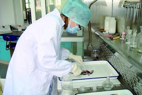 昆明学卫生检验与检疫专业好找工作吗？就业方向有哪些？