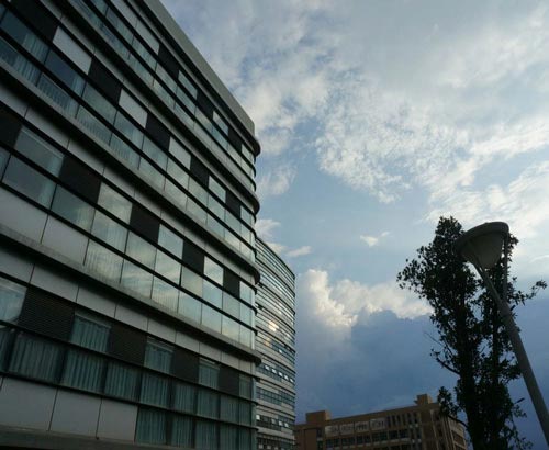 成都金沙卫校2023年的招生条件是什么_资助政策有哪些