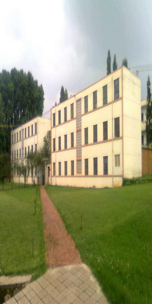 重庆市医药经贸学校风景