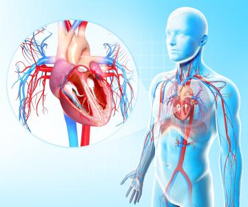 临床医学，神经医学