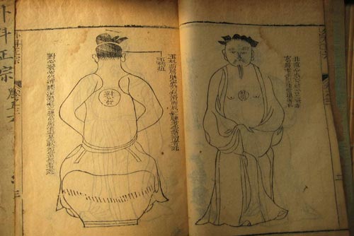 中医学专业必看的书籍