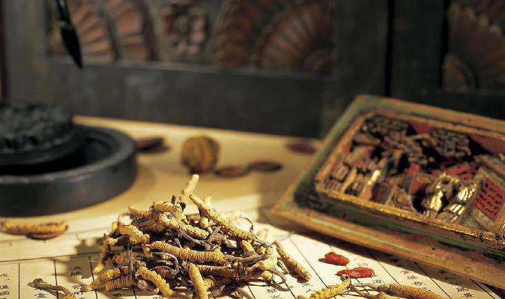 中医学中的三焦是什么？