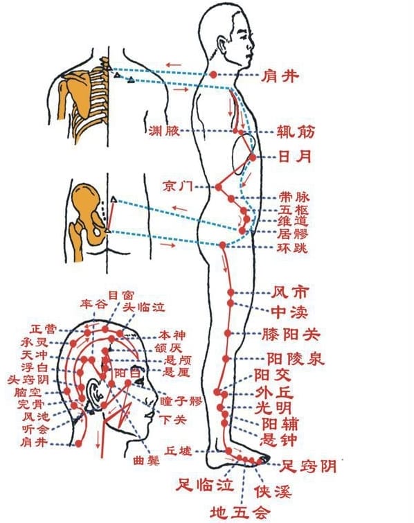 中医学中的经络