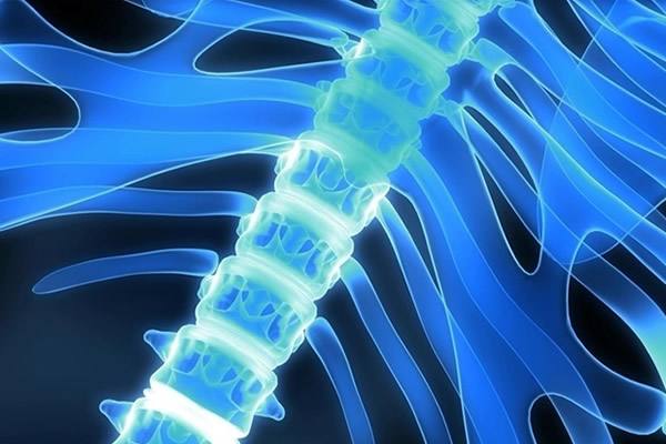 四川省乐至县回澜职业中学什么专业好
