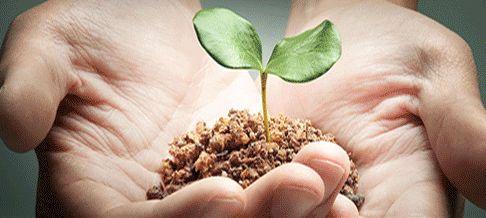 云南民族大学哪个专业好就业？