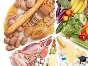 营养与食品卫生专业