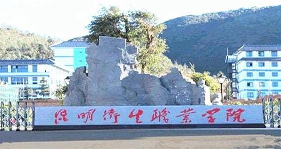 昆明卫生职业学院校门