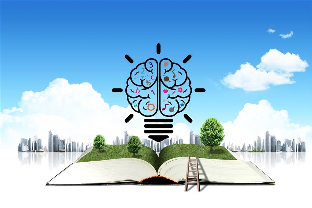 成华区教育机构