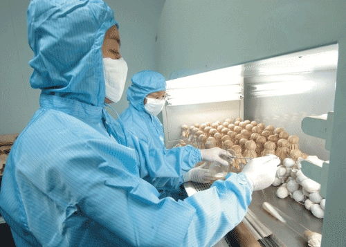 贵阳经济技术学校生物技术制药专业招生简介