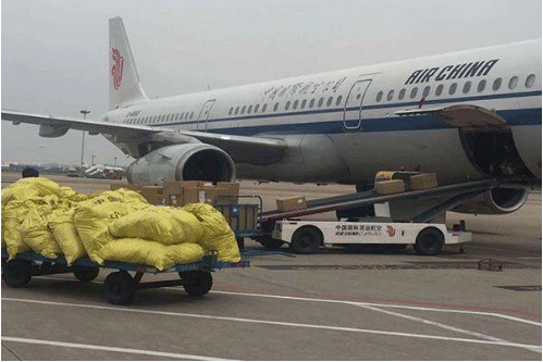 贵阳精工科技学校民航物流专业招生（五年制大专）