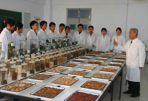 贵州中职护理学校有哪些专业【专业介绍】