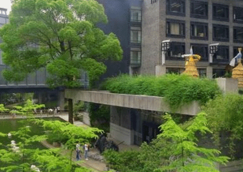 重庆市卫生技工学校简介、概况