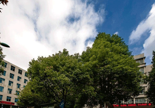 贵阳市二戈寨铁路学校2022年招生专业介绍