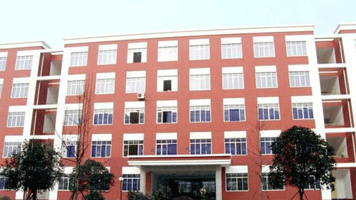 四川托普计算机职业学校网址网址多少