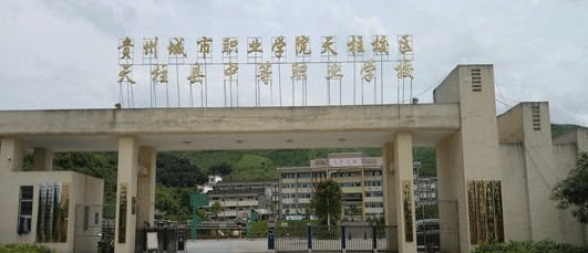 天柱县中等职业技术学校网址网站多少