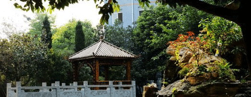 成都华大医药卫生学校网址网站多少