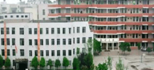 成都市华阳职业中学网址网站多少