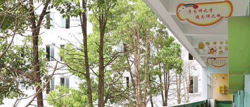 成都市天府新区成人中等专业学校什么专业适合女生