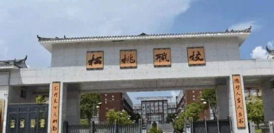 松桃苗族自治县中等职业学校男生适合学什么