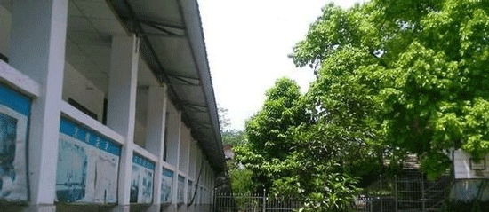 宜宾县科普职业技术学校网址网站多少