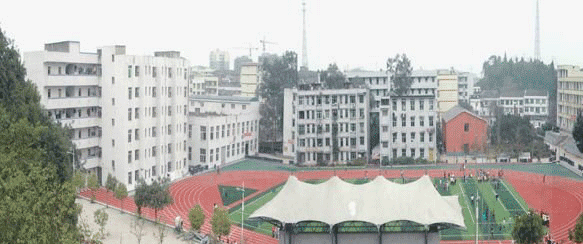 宜宾柳嘉职业中学校网址网站多少