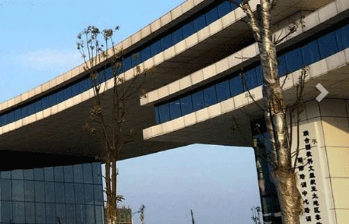 成都艺术职业学院网址网站多少