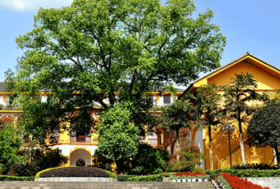 重庆工商学校2023年分数线多少