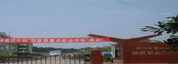 宜宾柳嘉职业中学校2023年分数线多少