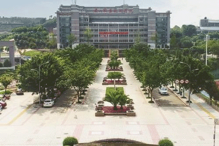 眉山职业技术学院是公办还是民办学校