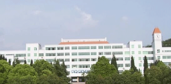 绵阳职业技术学院是公办还是民办学校