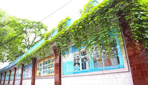 四川省质量技术监督学校哪些专业比较好