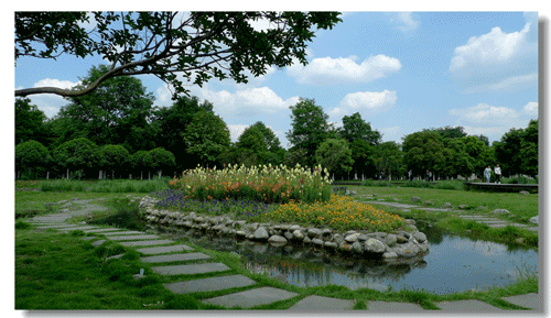 成都中医药大学学校到底怎么样_学校概况