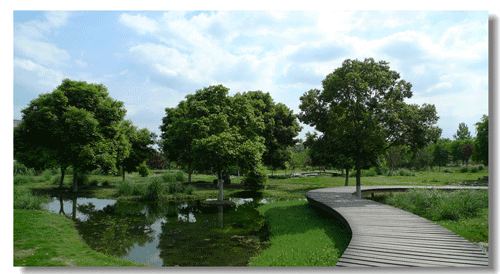 成都中医药大学学校到底怎么样_学校概况