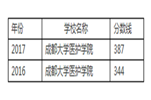 成都大学护理专业录取分数线是多少_报考建议有哪些