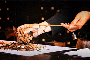 中医学专业介绍