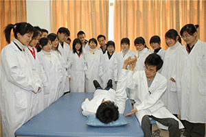 康复治疗技术学什么