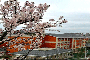 四川中医药高等专科学校俯视图