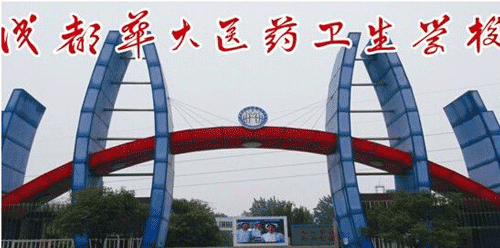 成都华大医药卫生学校