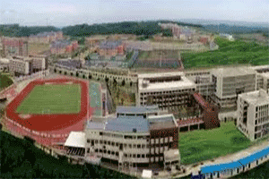 四川中医药高等专科学校全景图