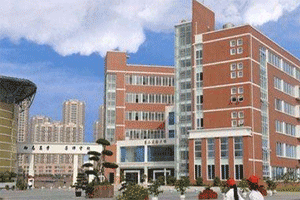 德阳卫校全景图