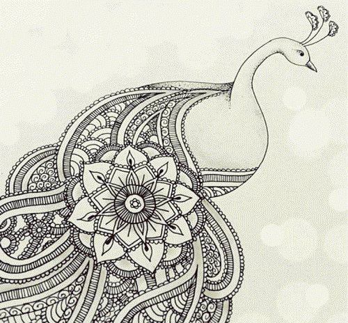 高考女生适合报考什么专业